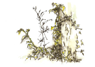 Boomstam groen geel, inkt en aquarel, serie Silence