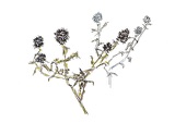 Distel paars, inkt en aquarel, serie Silence
